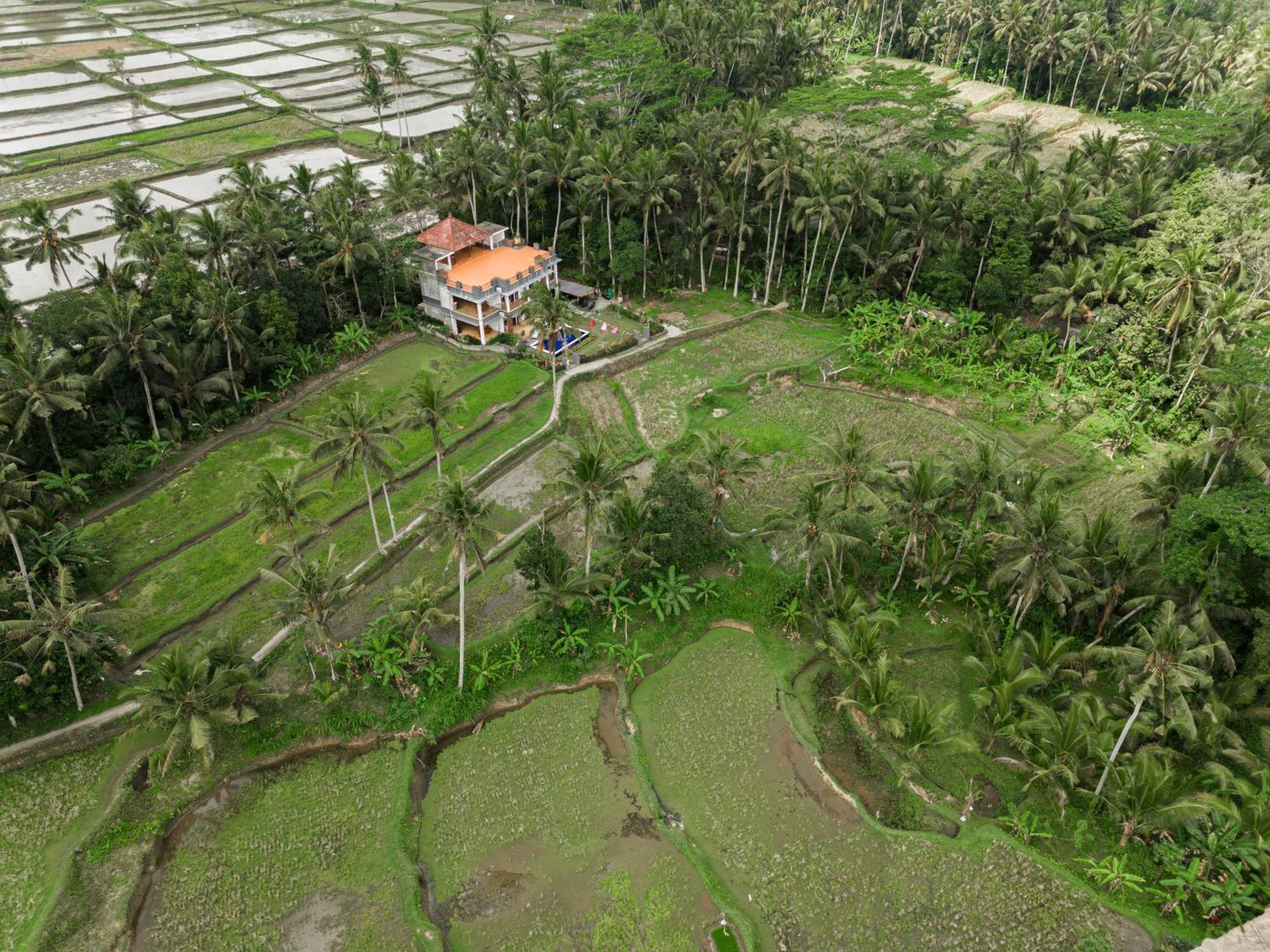 Adhidrawa Ubud Dış mekan fotoğraf