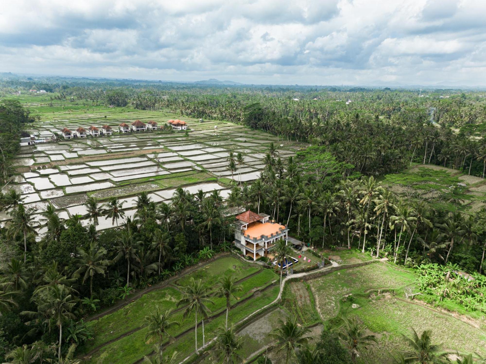 Adhidrawa Ubud Dış mekan fotoğraf